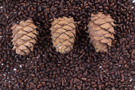 the cedar cones lying on pine nuts