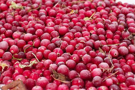 it is a lot of scattered frozen cowberry berries