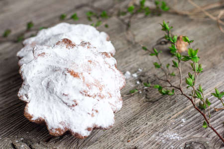 cottage cheese cupcakes on a dark wooden background