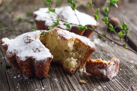 cottage cheese cupcakes on a dark wooden background