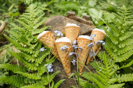 Still life - waffle cones in green leaves, delicious dessertの写真素材