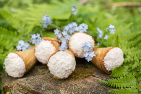 Still life - waffle cones in green leaves, delicious dessertの写真素材