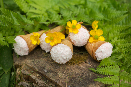 Still life - waffle cones in green leaves, delicious dessertの写真素材