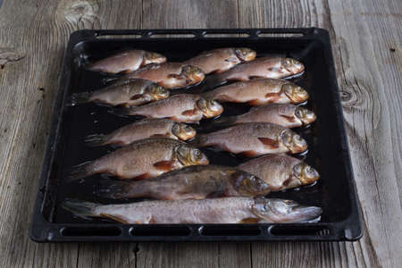 Lots of fresh river fish on a trayの写真素材