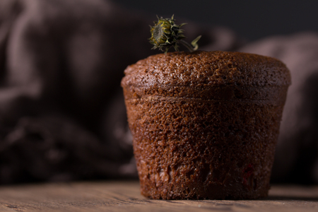 Chocolate muffin on a wooden table with a decor of dried flowersの写真素材