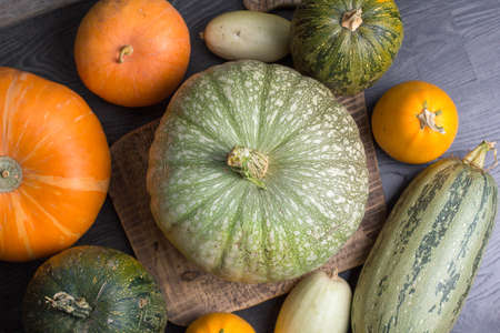Pumpkin and zucchini on a wooden backgroundの写真素材