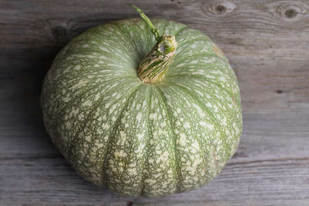 Still life - Green pumpkin on a wooden backgroundの写真素材