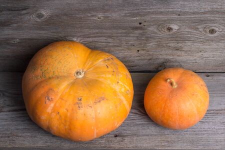 Ripe pumpkins on a wooden background, rusticの写真素材