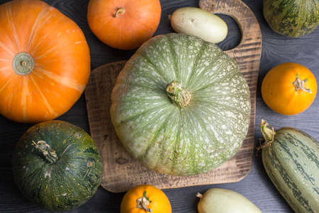 Pumpkin and zucchini on a wooden backgroundの写真素材