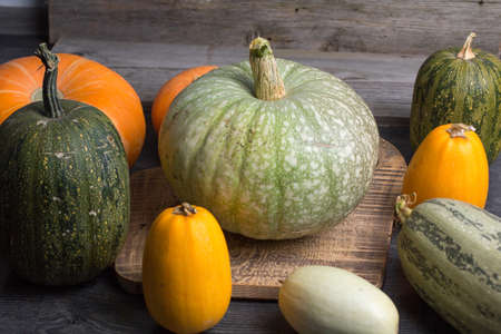 Pumpkin and zucchini on a wooden backgroundの写真素材