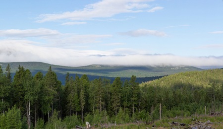 Summer in the mountains. Mountain ranges over the forest. Panoramic view of the mountains. Travel.
