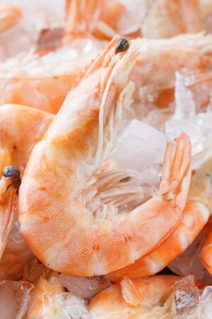 Frozen prawns on ice. macro. Tender pink shrimps on ice.の写真素材