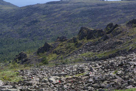 Panoramic view of the mountains and cliffs, South Ural. Summer in the mountains. Travel. Wild natureの写真素材