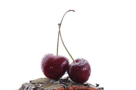 Two cherries on a tree on a white background. Fresh berries.の写真素材