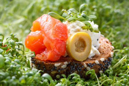 Canape with salmon and cheese cheese with micro-green on a dark background. Cold snack.の写真素材