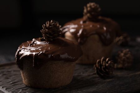 Chocolate muffins, decorated with a small cone on a dark wooden background. Low key. Cupcakes are poured with dark chocolate and cocoa powder. Cupcakes with unusual decoration.の写真素材