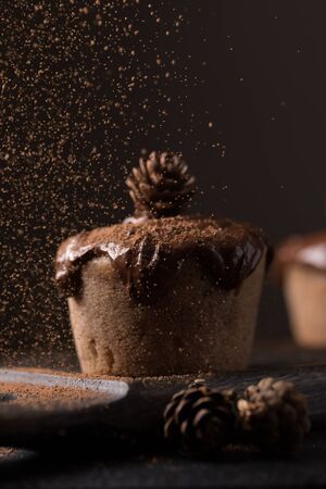 Chocolate muffins, decorated with a small cone on a dark wooden background. Low key. Cupcakes are poured with dark chocolate and cocoa powder. Cupcakes with unusual decoration.の写真素材