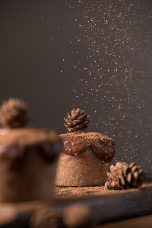 Chocolate muffins, decorated with a small cone on a dark wooden background. Low key. Cupcakes are poured with dark chocolate and cocoa powder. Cupcakes with unusual decoration.の写真素材