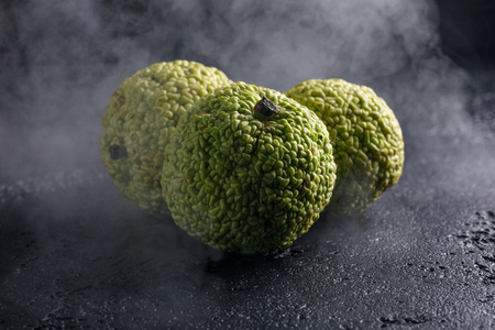 Adam's apples on a black background in smoke. Adam's apples, like dragon eggs wrapped in smoke. A strange fruit.の写真素材