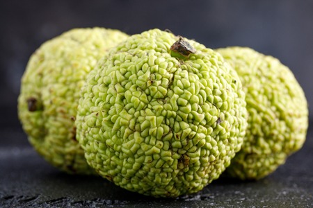 Adam's apple on a black background. Macro.の写真素材