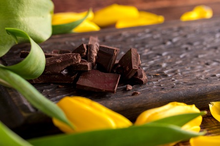 Pieces of dark chocolate on a decorative board surrounded by yellow tulips. Still-life on a wooden background.の写真素材
