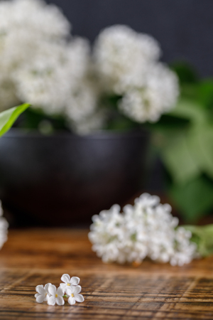 Beautiful flowers of snow-white lilac in a refined black cup on a wooden background. Close-up.の写真素材
