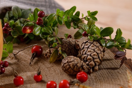 Autumn still life with pine cones and wild rose berries. Gifts of autumn on wooden background.の写真素材