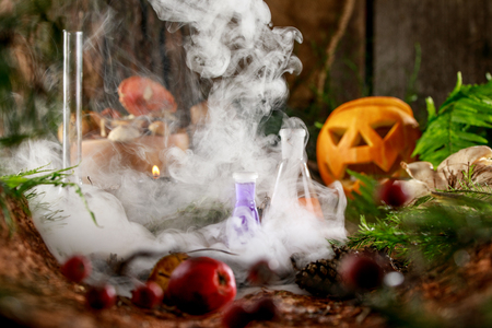 Pumpkin Jack for Halloween and the gifts of the forest on a wooden background. Ingredients for potion.の写真素材