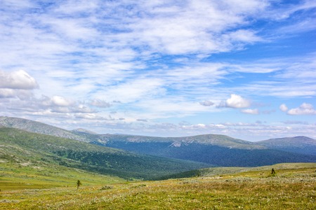 Mountain range in the distance. Russian forest in the hills. Beautiful summer landscapes.