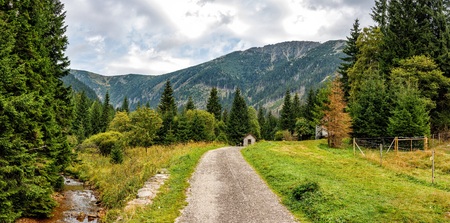 Route to the mountains through the forest. Tourism in Europe. Beautiful panoramic view of the...