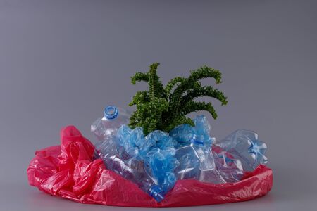 Green tender fern plant in a heap of plastic. Concept of environmental protection and plastic processing.の写真素材