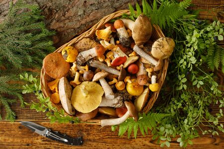 Mushrooms on old wooden background. Card on autumn or summertime. Forest harvest. Boletus, chanterelles, leaves, berries. Top view. Flat layの写真素材