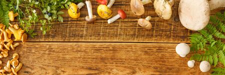 Mushrooms on old wooden background. Card on autumn or summertime. Forest harvest. Boletus, chanterelles, leaves, berries. Top view. Flat lay.Bannerの写真素材