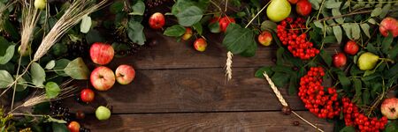 Frame of autumn fruits, apples and pears wooden background. Copy space. Harvest concept. Banner.