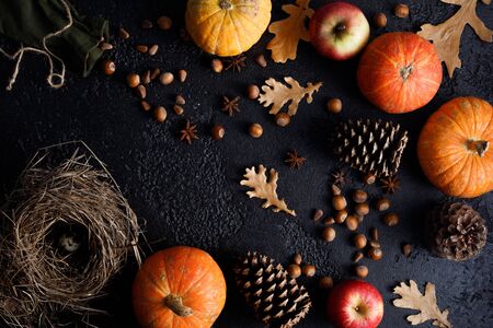 Autumn frame of pumpkins, tree leaves, hazelnuts on a black textural background. Autumn, fall,...