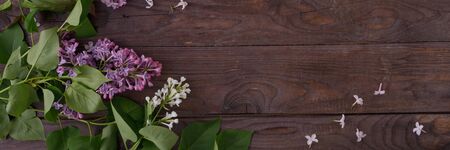 Decor of flowers on the background of vintage wooden planks.Vintage background with lilac flowers...