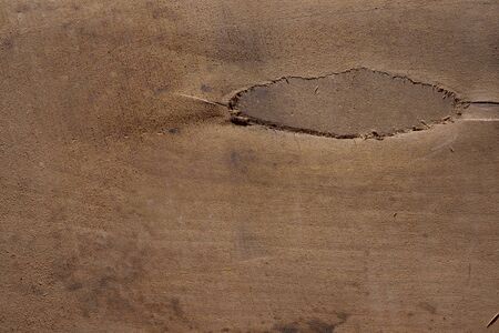 Wood texture background surface with old natural pattern. Texture of wood background close up. Top...