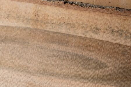 Wood texture background surface with old natural pattern. Texture of wood background close up. Top...