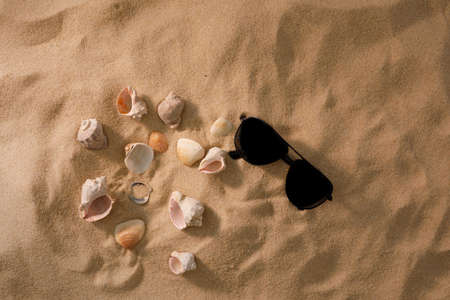 Beach background with shells and starfish. Vacation concept. Top view.の写真素材