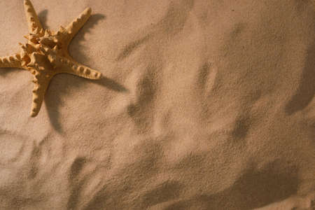 Beach background with starfish. The concept of rest. View from above. Flat lay.Top view.の写真素材
