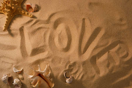 Beach background with shells and starfish. Vacation concept. Top view.の写真素材