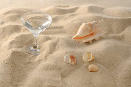 Cool drinks on the beach sand. A glass of refreshing drink and seashell.の写真素材