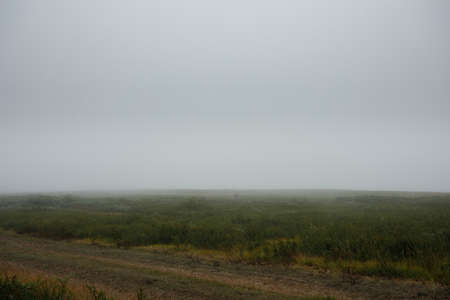 The evening fog rolls in over the grass fields and in, as the sun sets.の写真素材