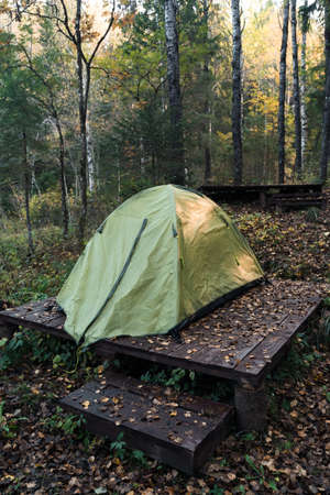 Tent for rest in the forestの写真素材
