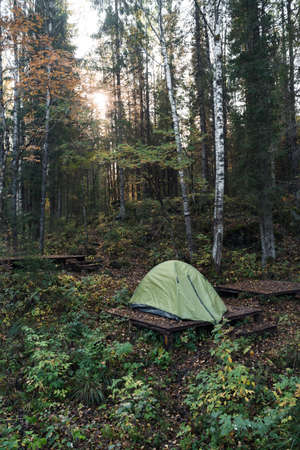 Tent for rest in the forestの写真素材