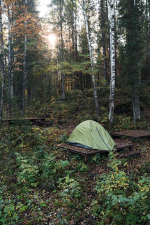 Tent for rest in the forestの写真素材
