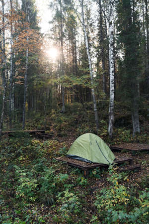 Tent for rest in the forestの写真素材