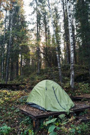 Tent for rest in the forestの写真素材