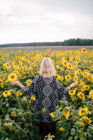 girl stands in the field of sunflowers backの写真素材