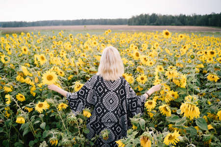 girl stands in the field of sunflowers backの写真素材